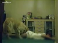 Girl Gets Fucked By Pup